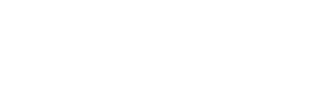 google white logo